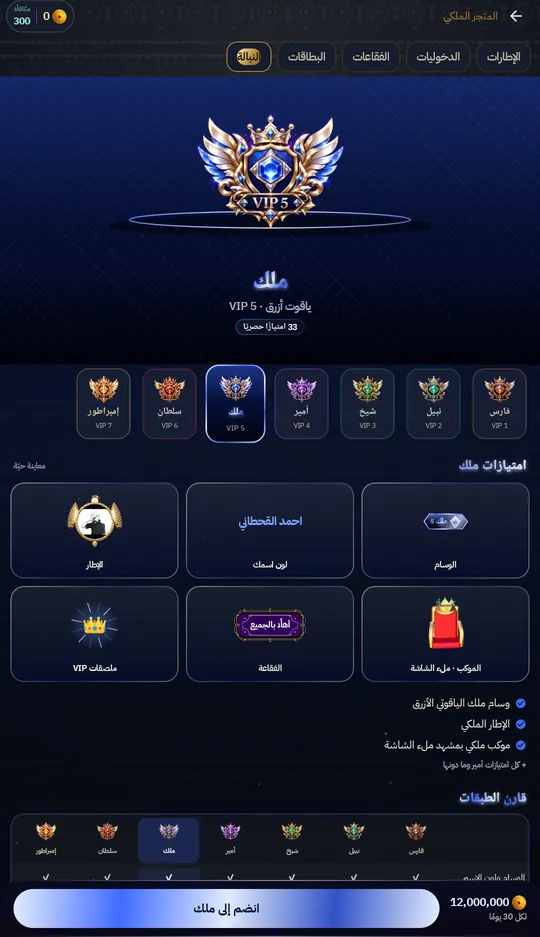 طبقات VIP